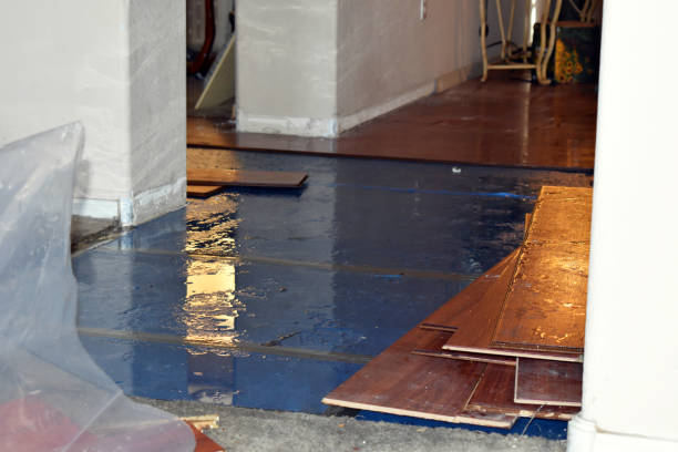 Professional Flood Cleanup technician working in Leoma, TN